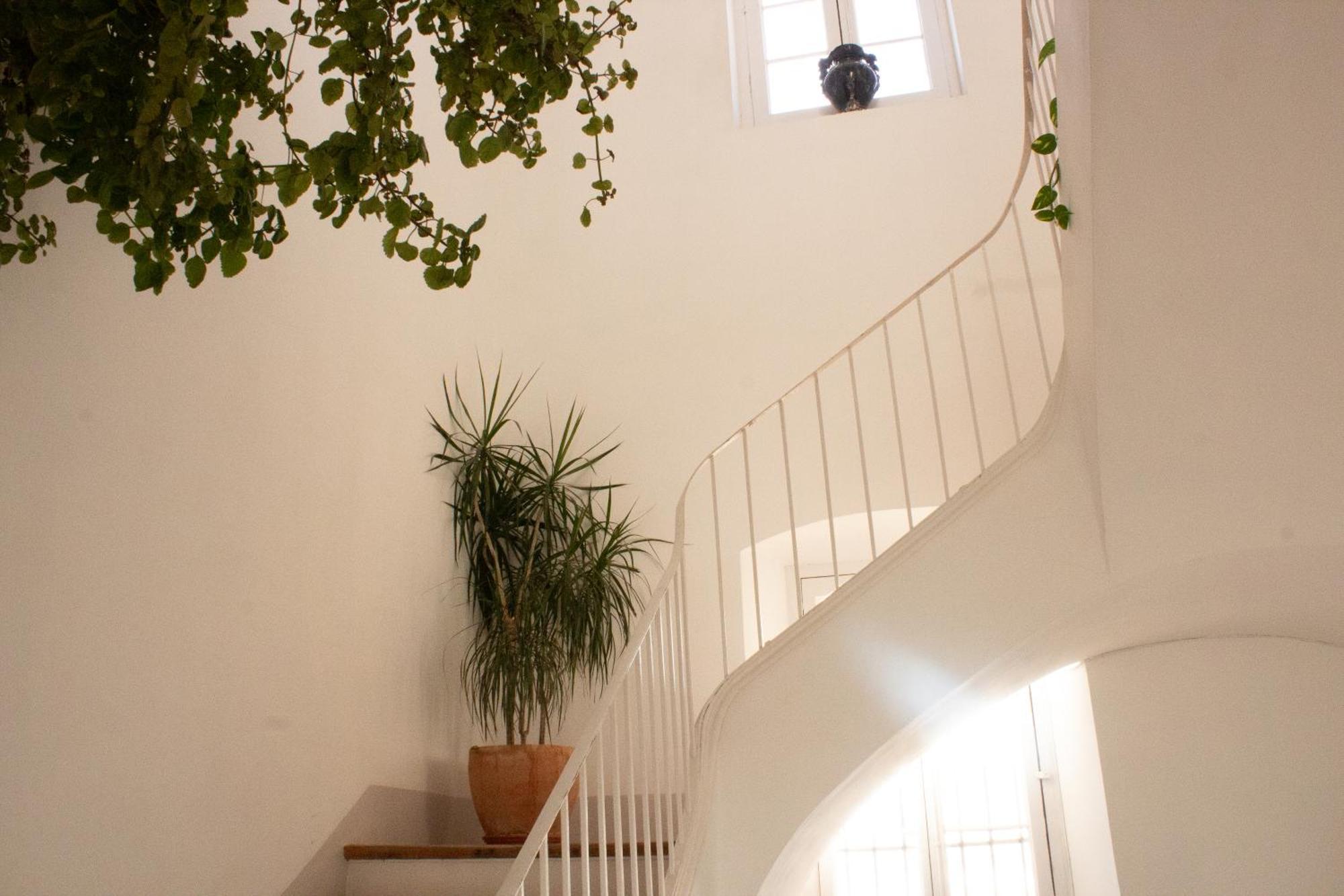 Can Rovira - Stunning Neoclassical Mansion, Just 20 Min Drive From Barcelona City Center, Ideal For Groups And Families 阿雷亚 外观 照片